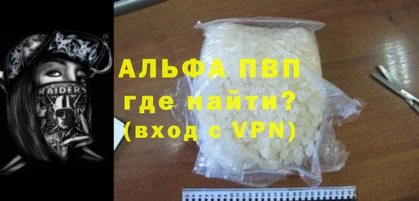 молекула духа Арсеньев