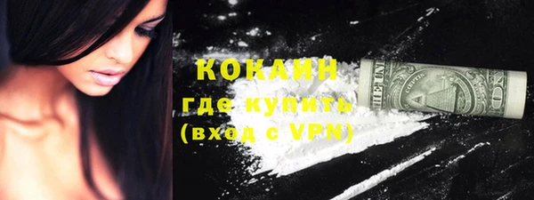 молекула духа Арсеньев