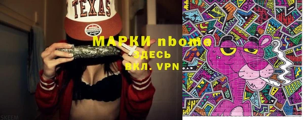 молекула духа Арсеньев
