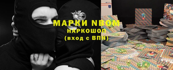 молекула духа Арсеньев
