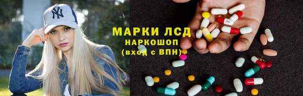 шишки Пестово