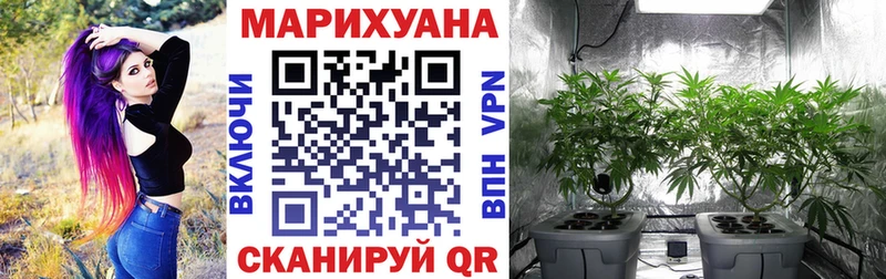 магазин  наркотиков  Завитинск  Бошки Шишки AK-47 
